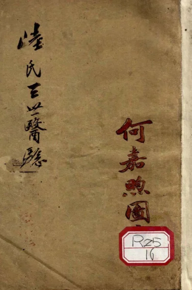 《陆氏三世医验》236页-daoxuejia