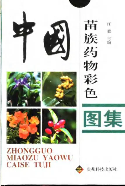 《中国苗族药物彩色图集》792页-daoxuejia