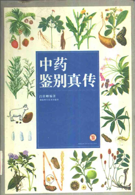 《中药鉴别真传》508页-daoxuejia