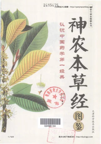《神农本草经图鉴（陈大为、王宝玲）（高清版）》520页-daoxuejia