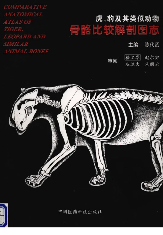 《虎、豹及其类似动物骨骼比较解剖图志（陈代贤主编）》258页-daoxuejia