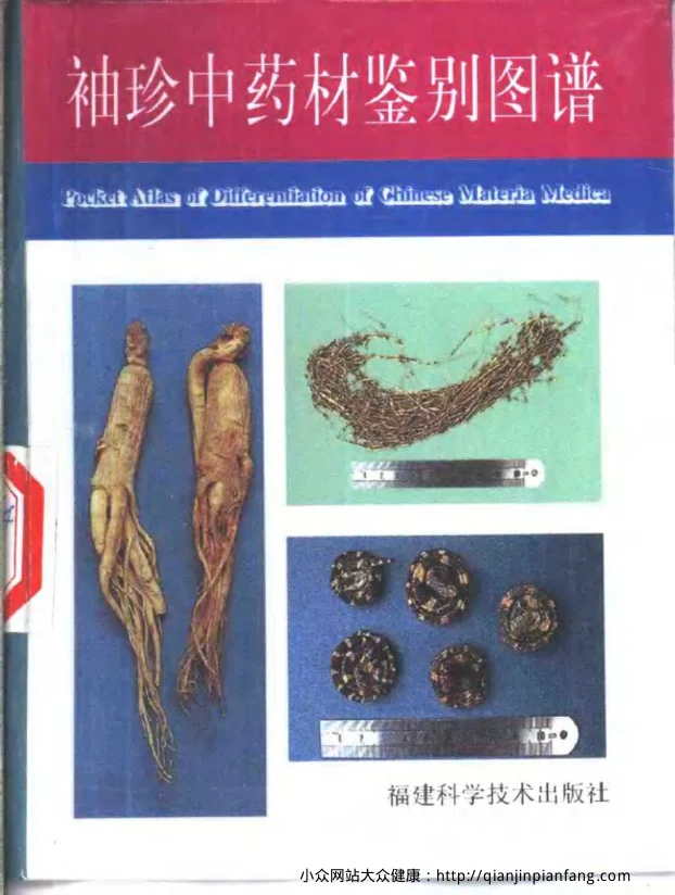 《袖珍中药材鉴别图谱（黄坚航）（彩图版）》732页-daoxuejia