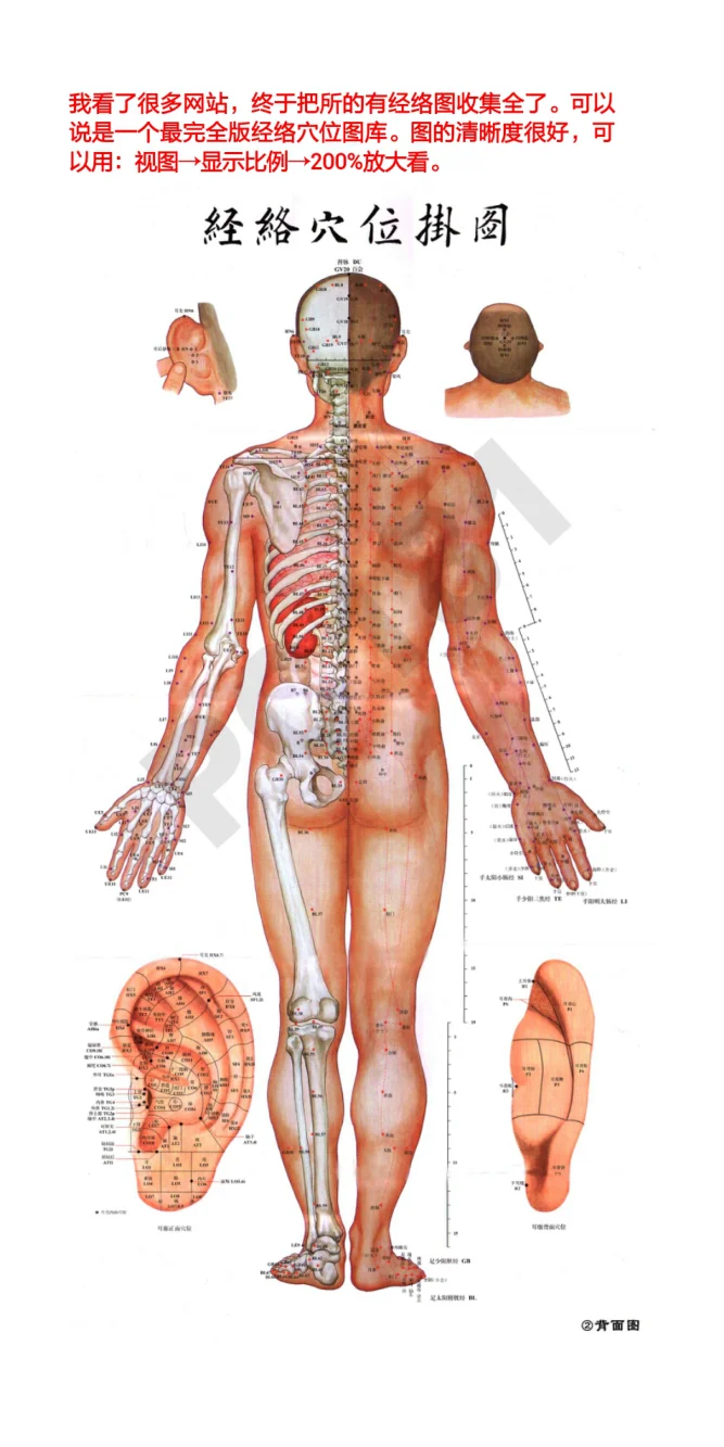 《中医针灸经络穴位图最完全版高清晰经络穴位图库》18页-daoxuejia